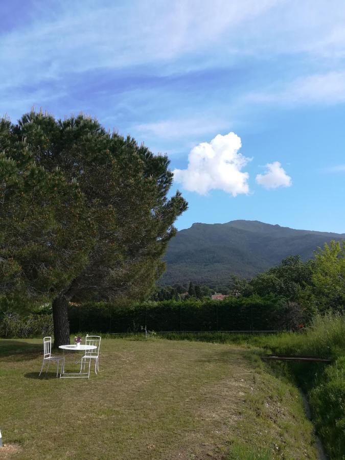 شقة Le Quatorze Laroque-des-Albères المظهر الخارجي الصورة
